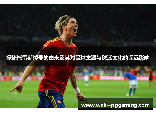 探秘托雷斯绰号的由来及其对足球生涯与球迷文化的深远影响 探秘托雷斯绰号的由来及其对足球生涯与球迷文化的深远影响