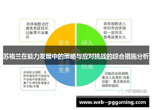 苏格兰在能力发展中的策略与应对挑战的综合措施分析