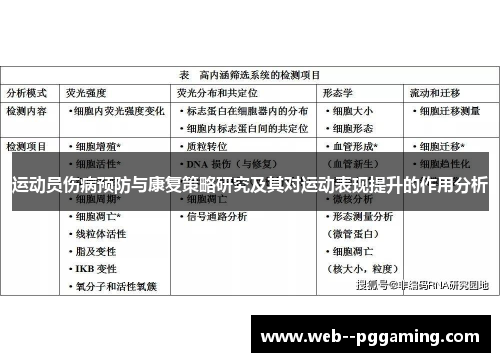 运动员伤病预防与康复策略研究及其对运动表现提升的作用分析
