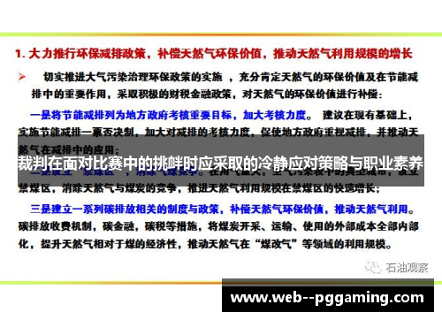裁判在面对比赛中的挑衅时应采取的冷静应对策略与职业素养