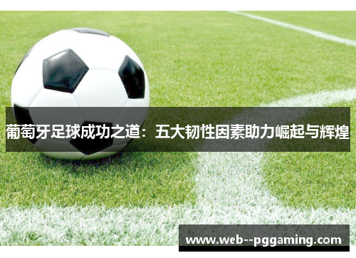 葡萄牙足球成功之道:五大韧性因素助力崛起与辉煌 葡萄牙足球成功之道:五大韧性因素助力崛起与辉煌