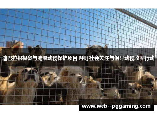 迪巴拉积极参与流浪动物保护项目 呼吁社会关注与倡导动物收养行动 迪巴拉积极参与流浪动物保护项目 呼吁社会关注与倡导动物收养行动