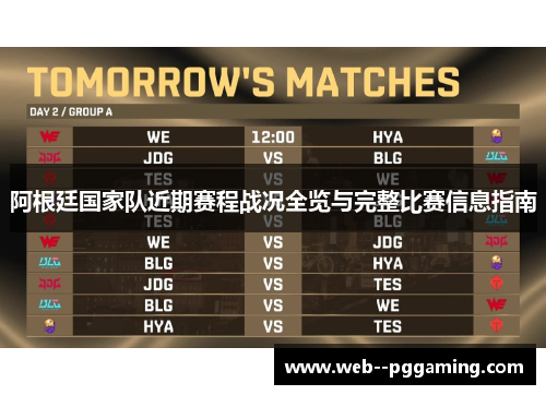 阿根廷国家队近期赛程战况全览与完整比赛信息指南