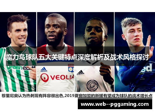 魔力鸟球队五大关键特点深度解析及战术风格探讨