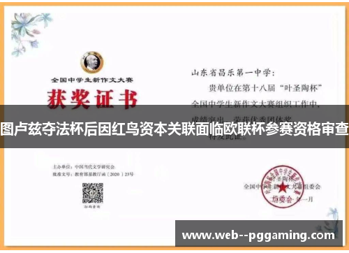 图卢兹夺法杯后因红鸟资本关联面临欧联杯参赛资格审查