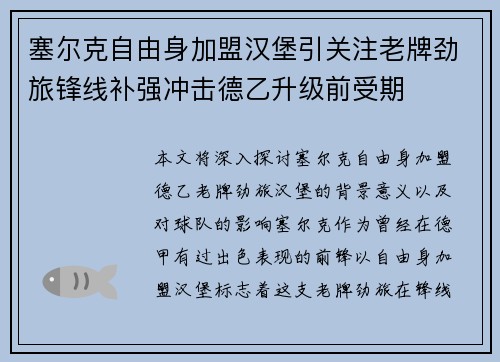 塞尔克自由身加盟汉堡引关注老牌劲旅锋线补强冲击德乙升级前受期
