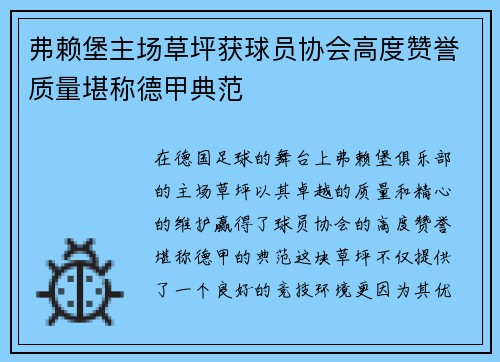弗赖堡主场草坪获球员协会高度赞誉质量堪称德甲典范