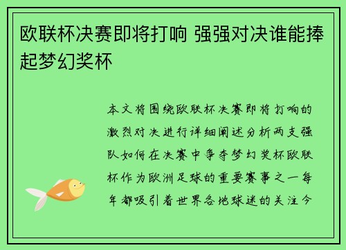 欧联杯决赛即将打响 强强对决谁能捧起梦幻奖杯 欧联杯决赛即将打响 强强对决谁能捧起梦幻奖杯